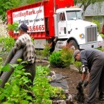 bark blow Portland, bark blower Portland, bark blowers Portland, bark blowing Portland, bark install Portland, bark installation Portland, mulch installation Portland, mulch install Portland, mulch blow Portland, bark mulch installation Portland, bark mulch install Portland, bark mulch blow Portland