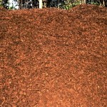 bark nuggets, pebble bark, mulch nuggets, bark chips, mulch chips