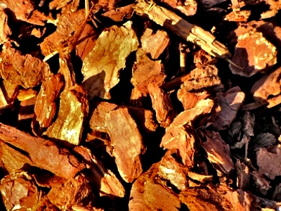Pile Close Up-Bark Nuggets