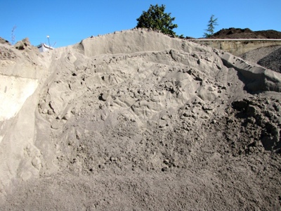 Sand1