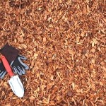 playground chips beaverton, cedar playground wood chips beaverton, playground wood chips beaverton, playground chips beaverton