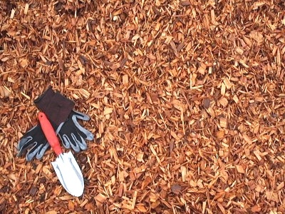 ngp-Cedar Wood Chips