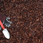 bark nuggets hillsboro, pebble bark hillsboro, mulch nuggets hillsboro, bark chips hillsboro, mulch chips hillsboro
