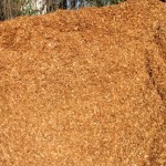 cedar wood chips Portland, cedar chips Portland, cedar bark chips Portland, cedar playground chips Portland, cedar playground wood chips Portland, playground wood chips Portland, playground chips Portland