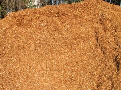 pile-Cedar Wood Chips