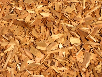 Image of Pile of cedar wood chips