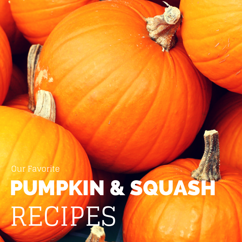 Favorite Pumpkin and Squash Recipes