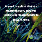 Gardening Quote - Doug Larson