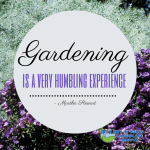 Gardening Quote - Martha Stewart