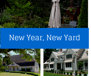 New Year, New Yard