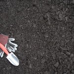 Best Buy In Town Portland-Garden-Compost