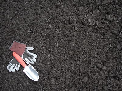 Compost vs. Mulch