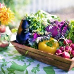 Planning Vegetable Garden