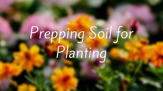 Prepping Soil For Planting