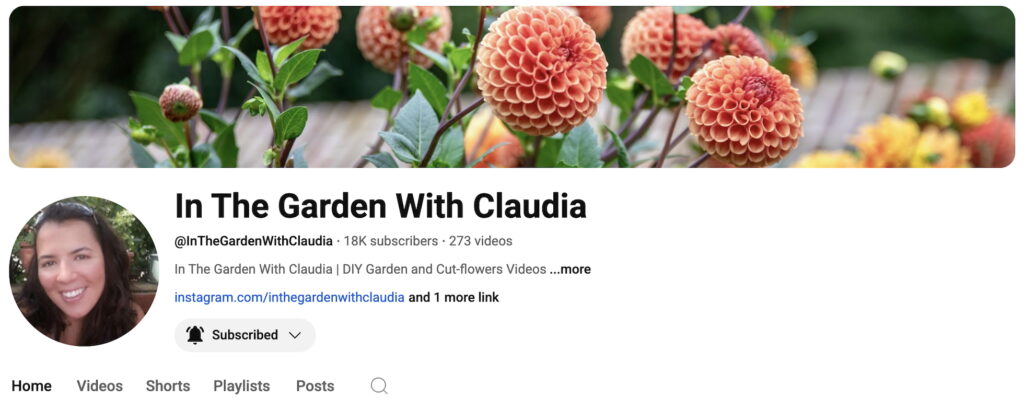 igwc-youtube-screenshot-page